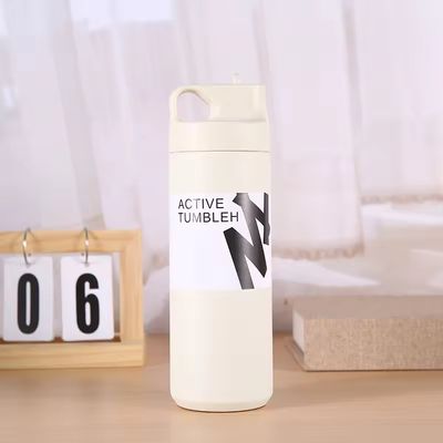 Unisex Custom Sport 550ml из нержавеющей стали двойная стена изолированная вакуумная бутылка с ручкой