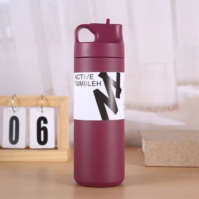 Unisex Custom Sport 550ml из нержавеющей стали двойная стена изолированная вакуумная бутылка с ручкой