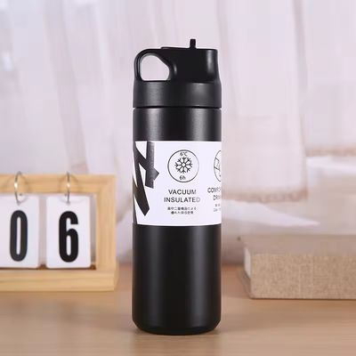 Unisex Custom Sport 550ml из нержавеющей стали двойная стена изолированная вакуумная бутылка с ручкой