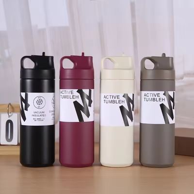 Unisex Custom Sport 550ml из нержавеющей стали двойная стена изолированная вакуумная бутылка с ручкой